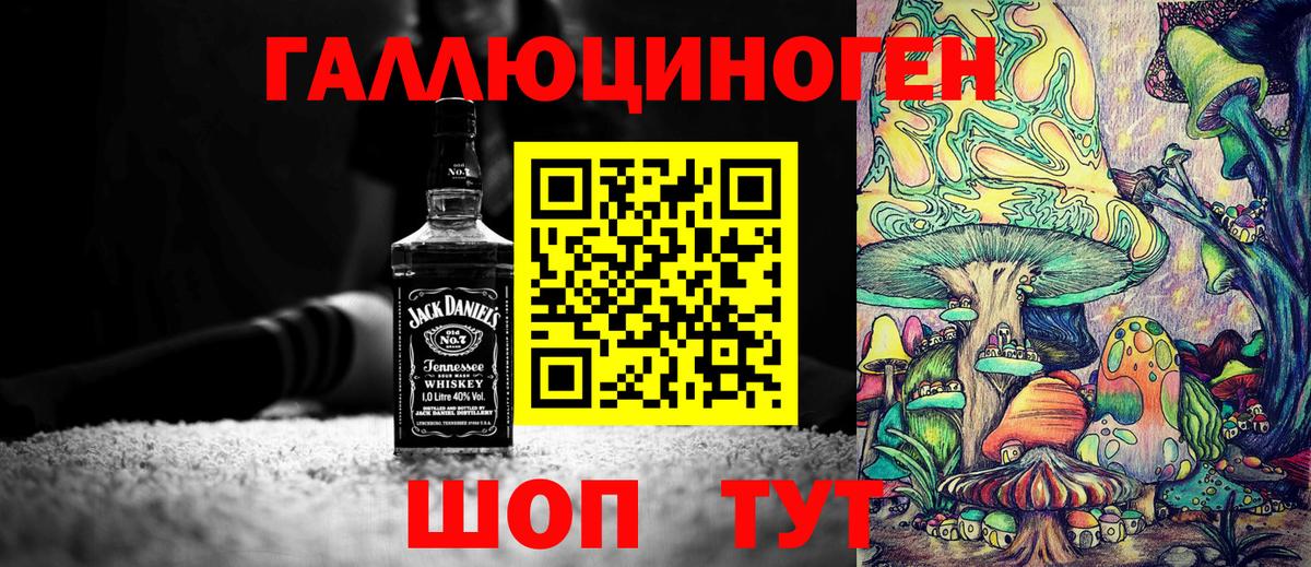 купить наркотики сайты  Галлюциногенные грибы GOLDEN TEACHER  Вход с VPN  Кохма 