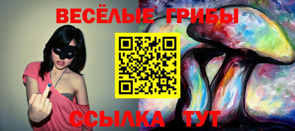 Галлюциногенные грибы мицелий Кохма